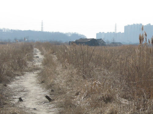 쓸쓸하기만 한 폐염전, 마치 내 자신이 버림받은 느낌이었다 